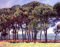 Monet, Claude Oscar - Pine Trees, Cap d'Antibes